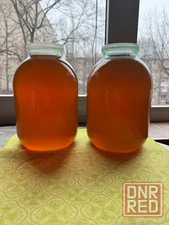 Мёд 6 литров Донецк - изображение 1