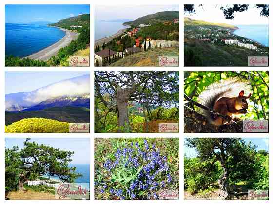 Канака пансионат официальный сайт снять жилье в Канаке Донецк