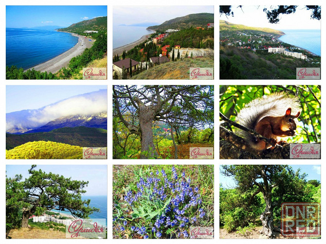 Канака пансионат официальный сайт снять жилье в Канаке Донецк - изображение 4