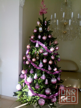 Елка новогодняя Макеевка - изображение 1