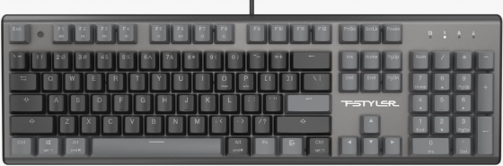 Клавиатура A4tech Fstyler Fs100 Neon механическая черный Usb For Gamer Led (Fs100) (арт-4272) Макеевка