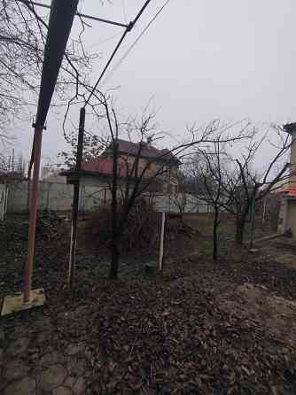 Обрезка плодовых деревьев, сада кустарников винограда Донецк