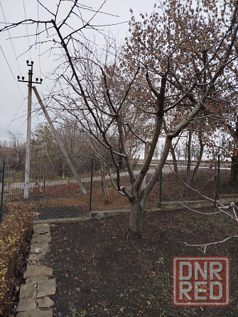 Обрезка плодовых деревьев, сада кустарников винограда Донецк - изображение 4