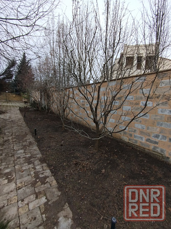 Обрезка плодовых деревьев, сада кустарников винограда Донецк - изображение 3