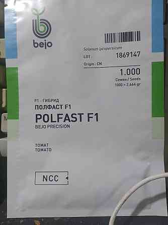 Семена помидора Полфаст F 1 Макеевка