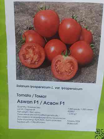 Семена томата Асвон F1 Макеевка