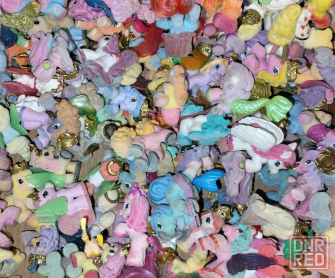 Продам лошадок Финлли Донецк - изображение 1