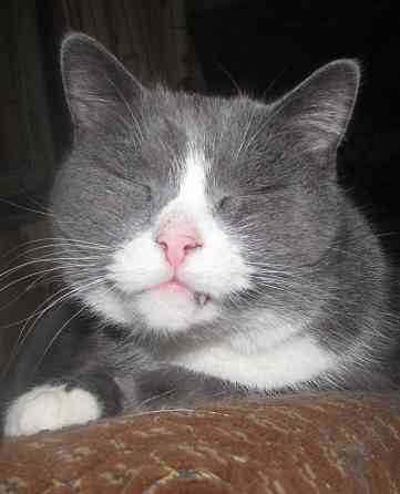 Слепцы, колгоспе удобно Скит* Донецк