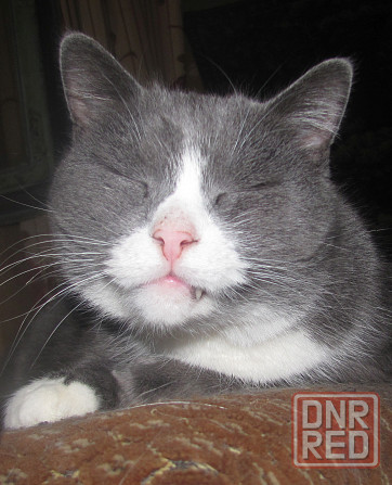 Слепцы, колгоспе удобно Скит* Донецк - изображение 1