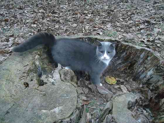 Реально приобрести "Падуны" Донецк