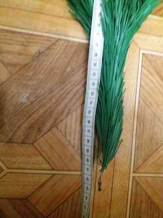 Продам ветки ели елки сосны Донецк