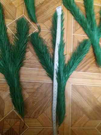 Продам ветки ели елки сосны Донецк