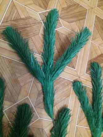 Продам ветки ели елки сосны Донецк