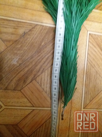 Продам ветки ели елки сосны Донецк - изображение 6