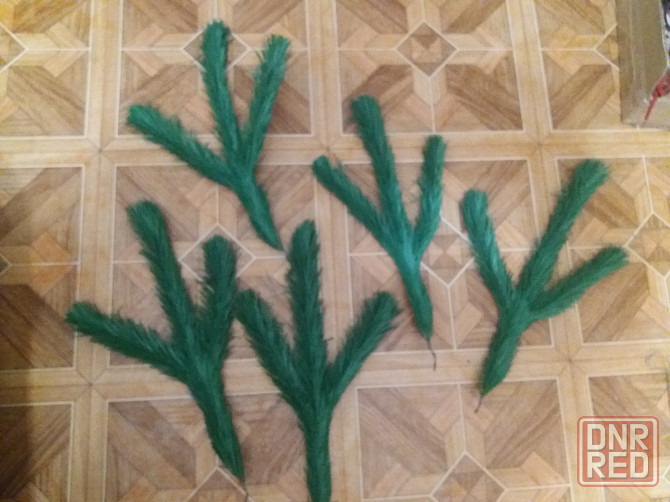 Продам ветки ели елки сосны Донецк - изображение 2