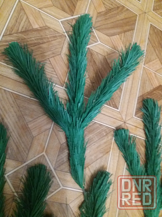 Продам ветки ели елки сосны Донецк - изображение 4