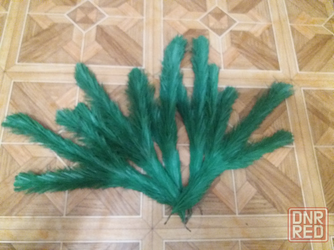 Продам ветки ели елки сосны Донецк - изображение 1