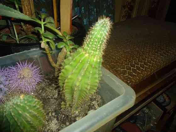 Фото 9920, походи 1 Шпион Донецк