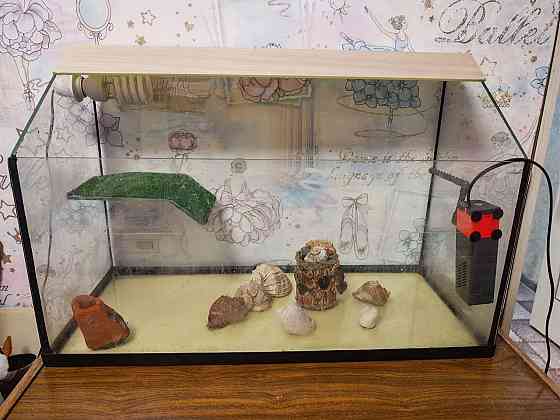 Террариум Донецк