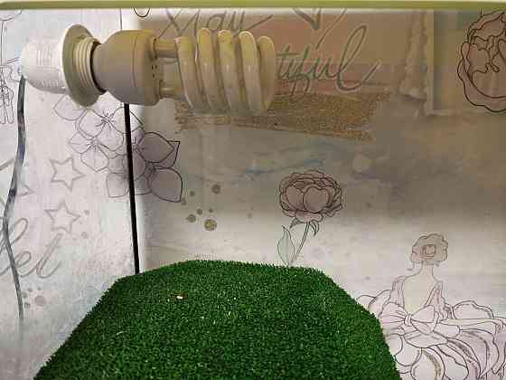 Террариум Донецк