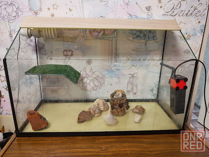 Террариум Донецк - изображение 1