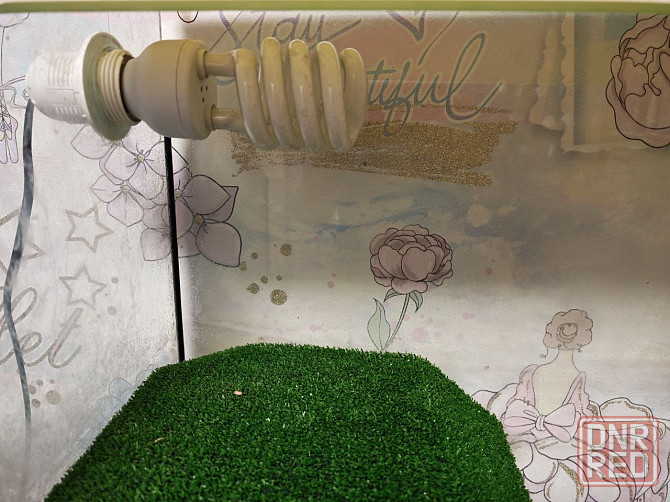 Террариум Донецк - изображение 2