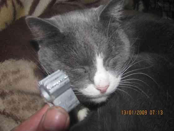 Не так Садим" москве трахтуры Донецк