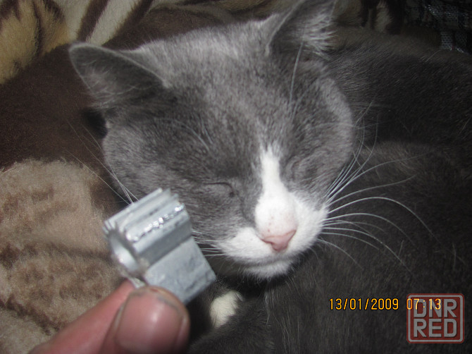 Не так Садим" москве трахтуры Донецк - изображение 1