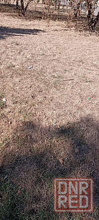 Продам 2 га плодородной земли в удобном месте днр Донецк - изображение 4