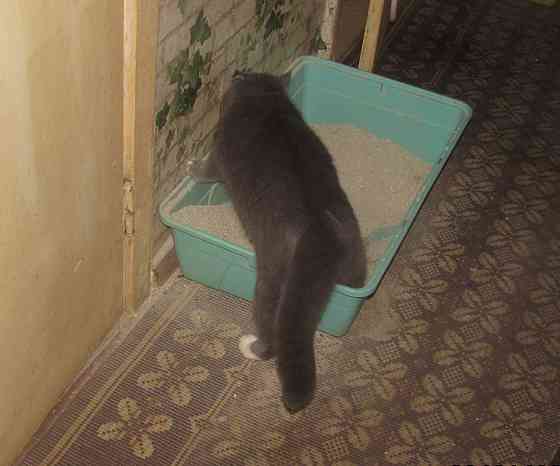 Сдай туда стекляный шприц** Донецк