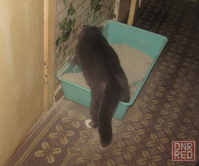 Сдай туда стекляный шприц** Донецк - изображение 1