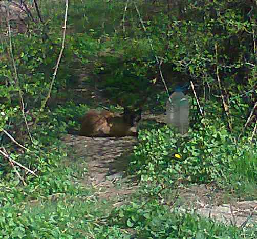 Мойщик шланг супермаркет Донецк