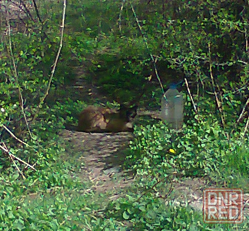 Мойщик шланг супермаркет Донецк - изображение 1