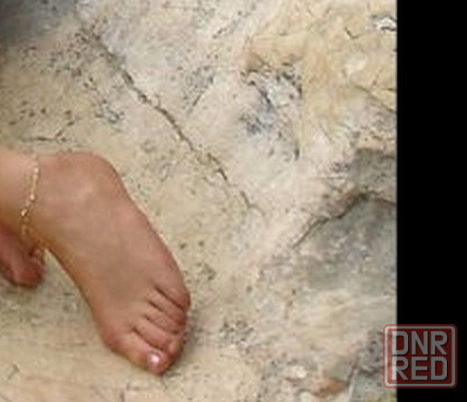 Врач "Павлин" учит гусеницу Донецк - изображение 1