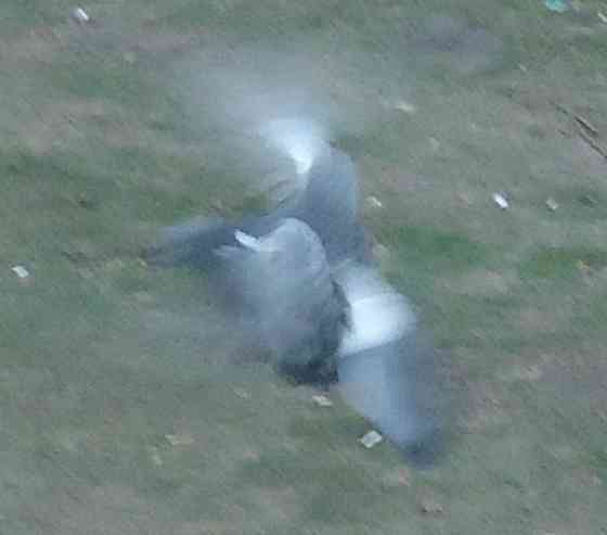 Никто не купит звуковую -> Донецк