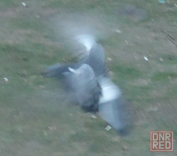 Никто не купит звуковую -> Донецк - изображение 1