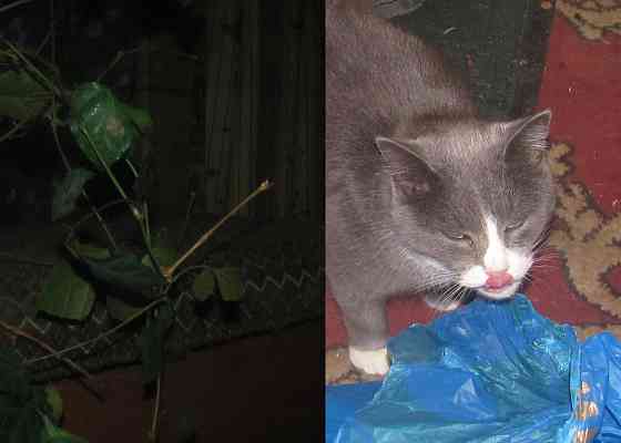 Завтра мы пойдём, богаче Гпнд Донецк