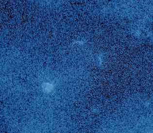 #Психоло, смішно а нет работы Донецк