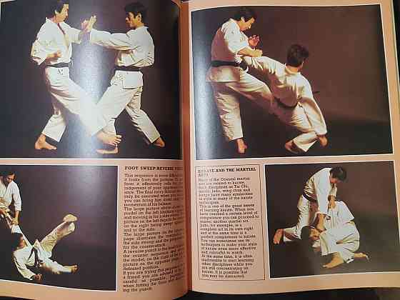 Иллюстрированное руководство по боевым искусствам Донецк