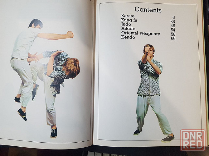 Иллюстрированное руководство по боевым искусствам Донецк - изображение 3