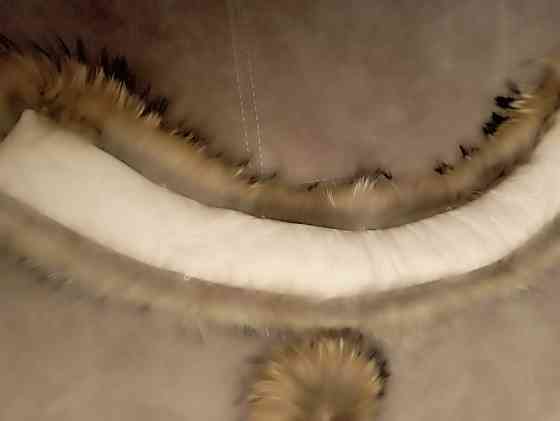 Мех енота Донецк