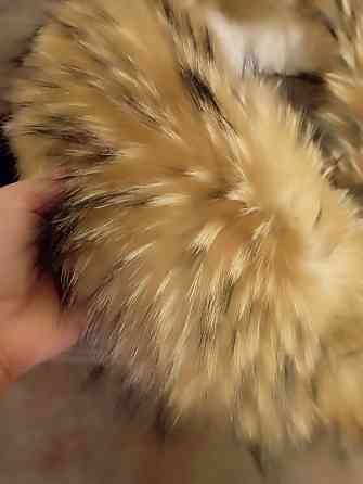 Мех енота Донецк