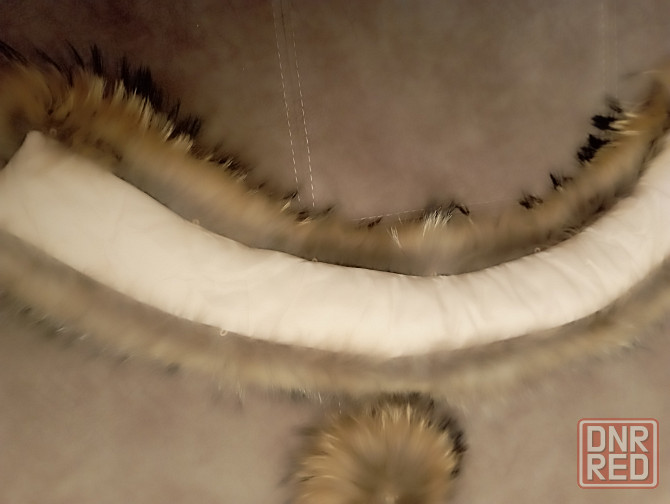 Мех енота Донецк - изображение 4