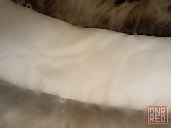 Мех енота Донецк - изображение 5