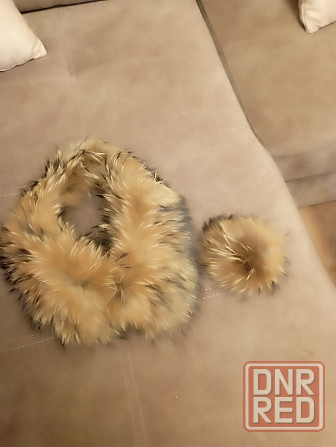 Мех енота Донецк - изображение 3