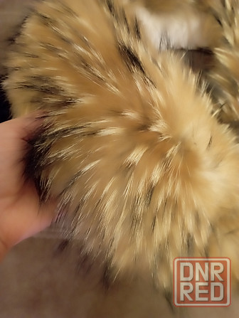 Мех енота Донецк - изображение 2