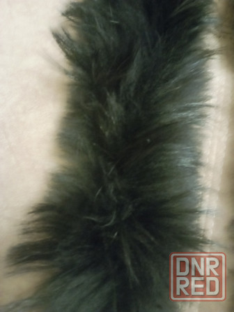 Мех натуральный для капюшона. Обмен Донецк - изображение 2