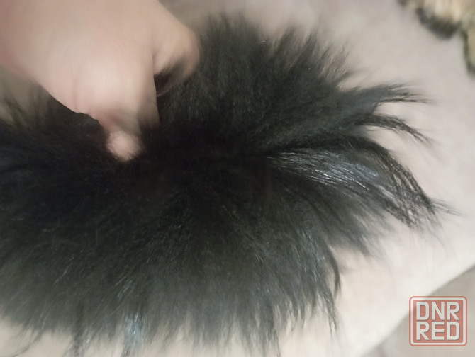 Мех натуральный для капюшона. Обмен Донецк - изображение 3