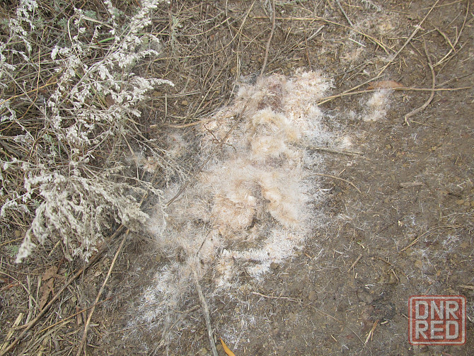 Лампы #никель, Хтось набрал Донецк - изображение 1