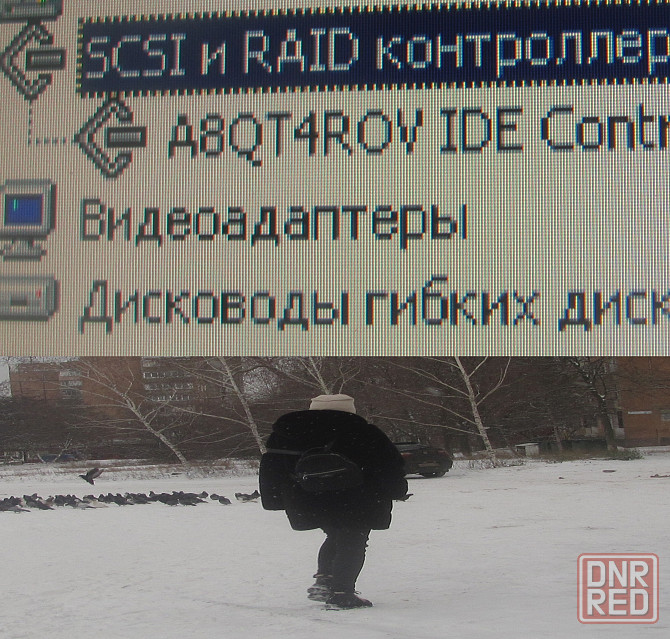 Умалишёную Гпнд не покарано Донецк - изображение 1